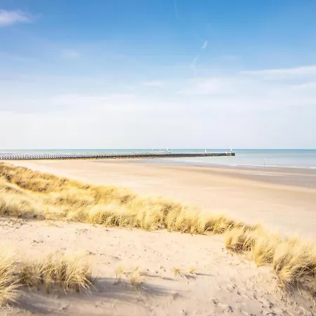 In Near The Marina *